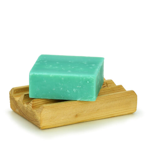cocolive-2025 cocolive-2025